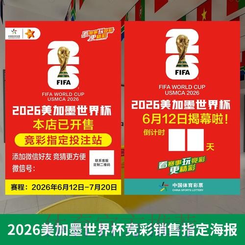 2026世界杯投注稳健指南