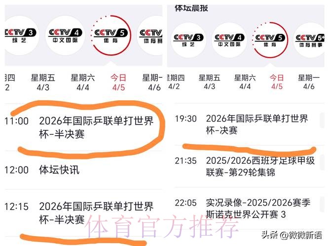 世界杯热播直播榜单深度解读
