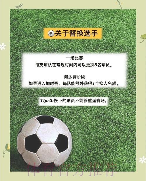 世界杯投注入门指南（免费版）